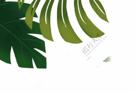 手绘卡通左上角植物边框元素