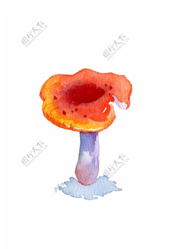 菌类蔬菜蘑菇食物卡通手绘