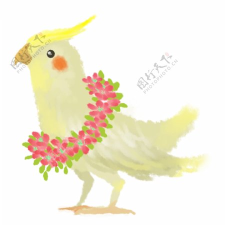 手绘水彩绘本黄鹦鹉