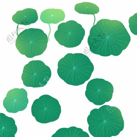 绿色植物荷叶装饰