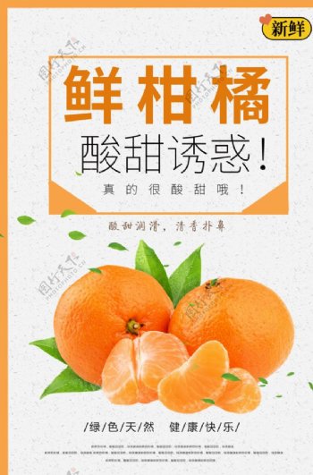 鲜柑橘海报
