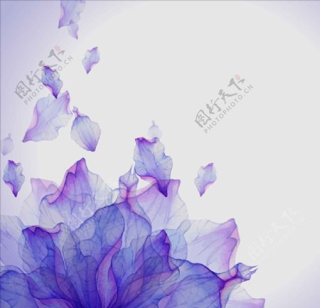 紫色梦幻炫彩花朵