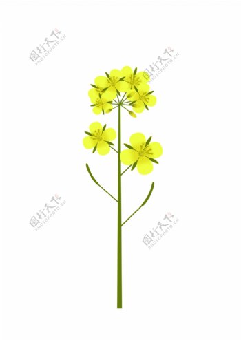 简约手绘矢量黄色油菜花花朵花瓣设计元素