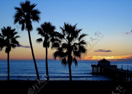 夕阳下的棕榈码头