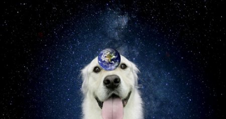 顶着地球的狗狗