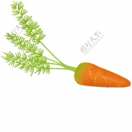 胡萝卜蔬菜装饰图案