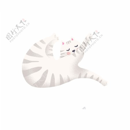 卡通手绘一只小白猫动物设计