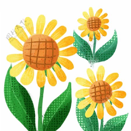 手绘植物向日葵卡通可爱斑点阳光