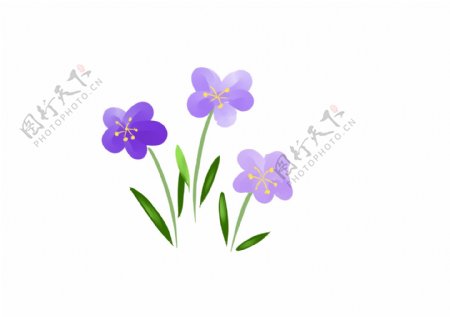 紫花手绘装饰图案