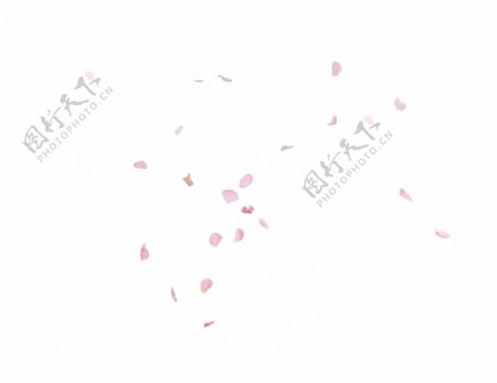 粉红色漂浮花瓣