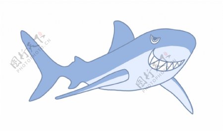 海洋生物大鲨鱼