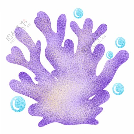 海洋生物紫色动物
