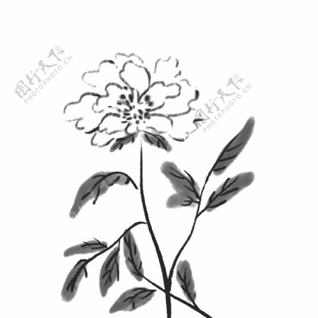 黑色素描花瓣树叶