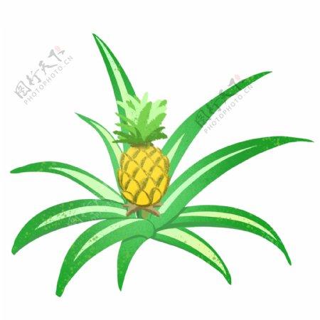 卡通绿色菠萝