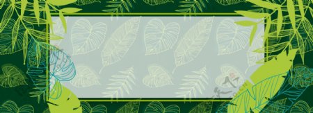 夏季植物底纹海报banner