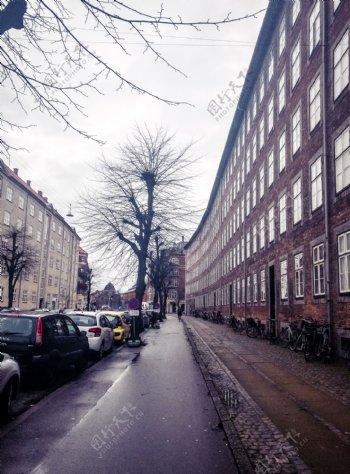 哥本哈根冬天的街景建筑和枯树