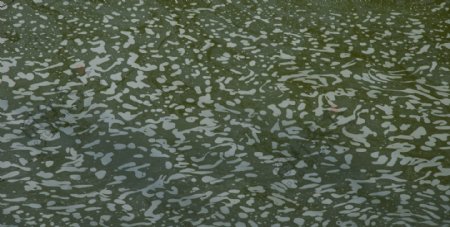 池中的水瓢纹理摄影