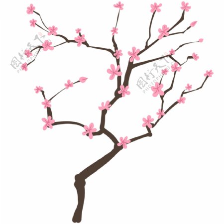 樱花树的卡通插画