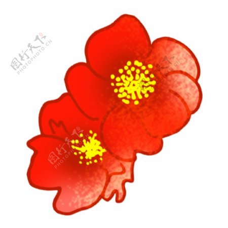 大红色水彩花卉PNG素材