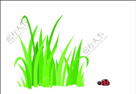 卡通矢量草和甲壳虫