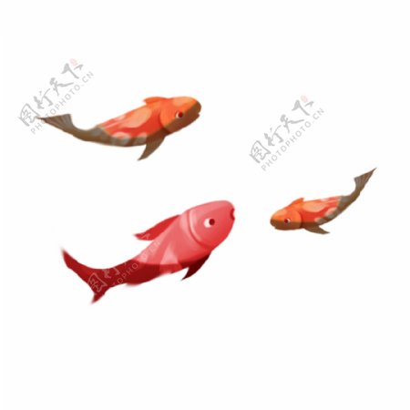 手绘鱼群动物卡通透明素材