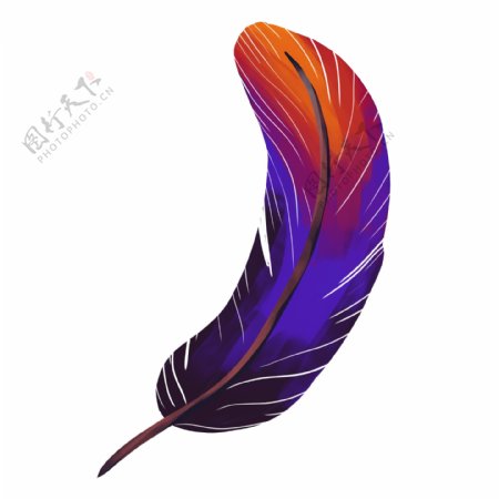 卡通紫色羽毛