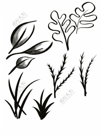 植物剪影树叶黑白手绘树叶小草