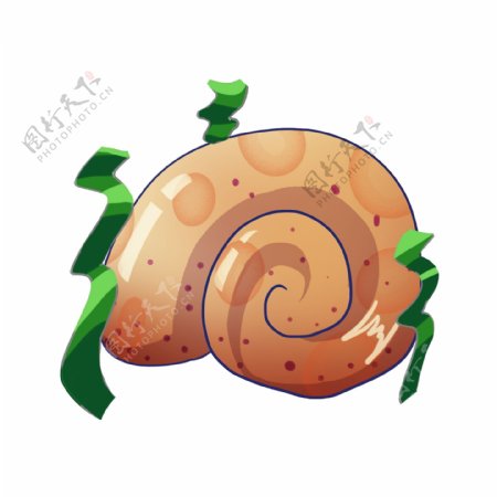 海螺贝壳蜗牛