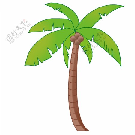 椰树沙滩海边植物