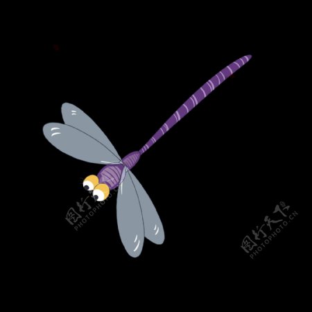 夏天的紫白色蜻蜓