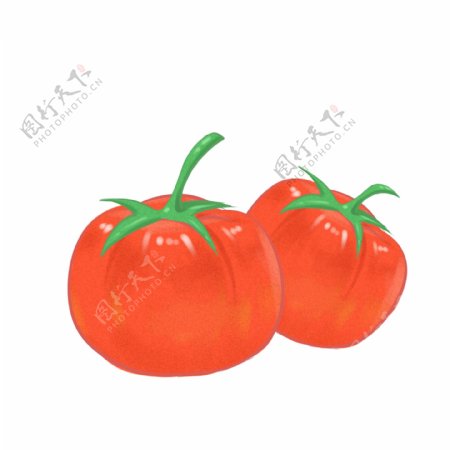 食材蔬菜番茄西红柿