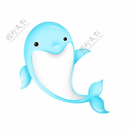 浅蓝色海洋海豚