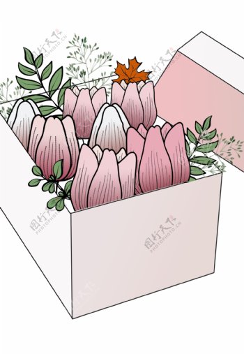 网红郁金香鲜花礼盒
