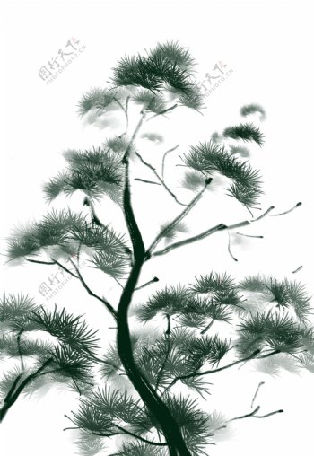 水墨中国风松树