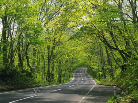 风景优美的道路