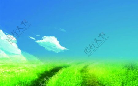 蓝天下的草地