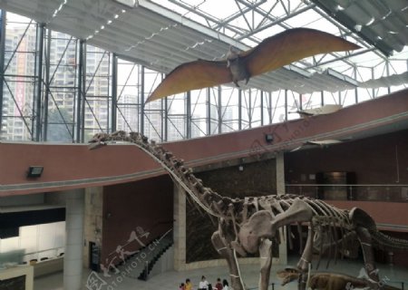 河源恐龙博物馆恐龙骨架模型