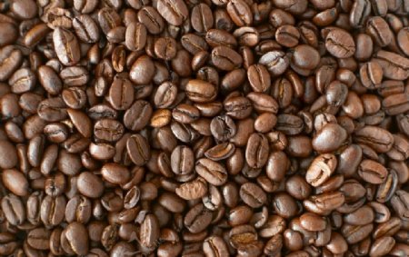 咖啡豆背景素材
