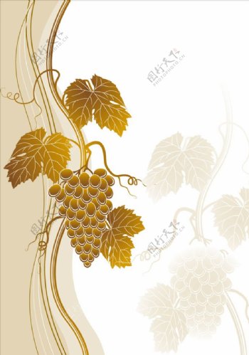 金色葡萄