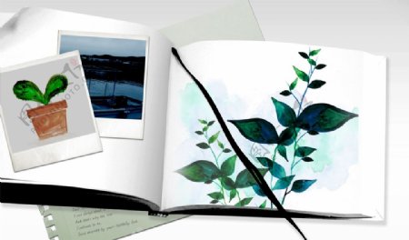 绿色植物照片相册合成桌面