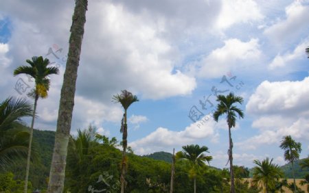 海南槟榔谷蓝蓝的白云天