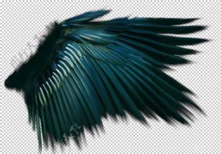 翅膀图案设计