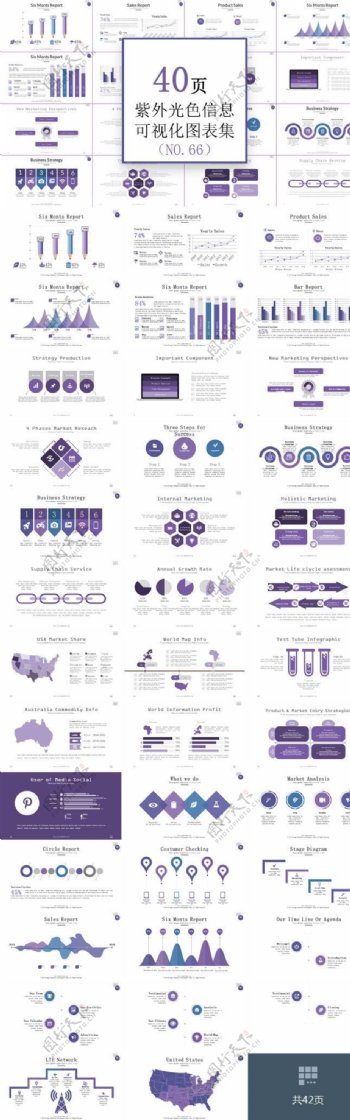 紫色信息PPT图表