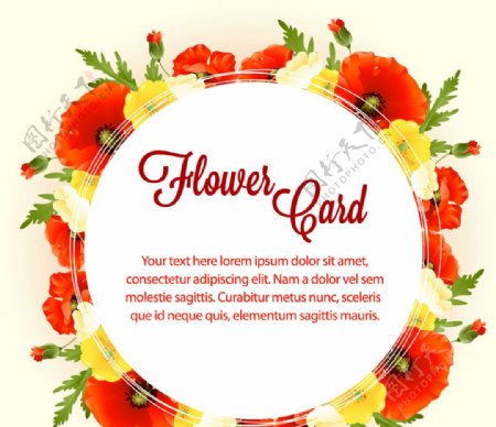 彩色花卉卡片设计