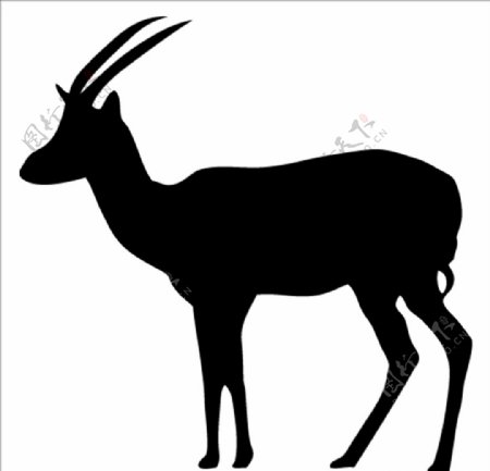 野生动物系列羚羊矢量图