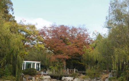 秋天公园