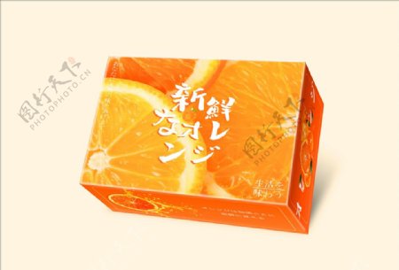 新鲜橙子包装平面图