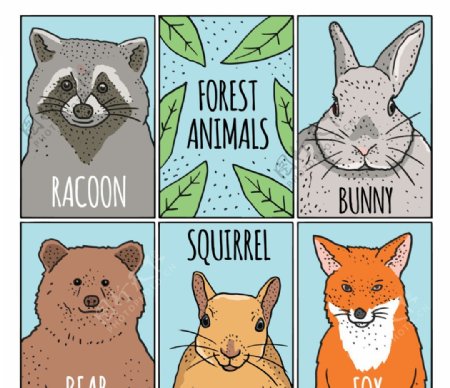 草图森林动物卡包