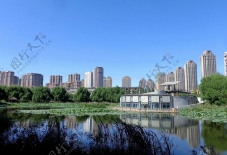 哈尔滨雨阳公园风景