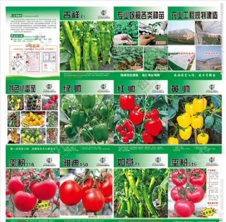 农业种子宣传画册